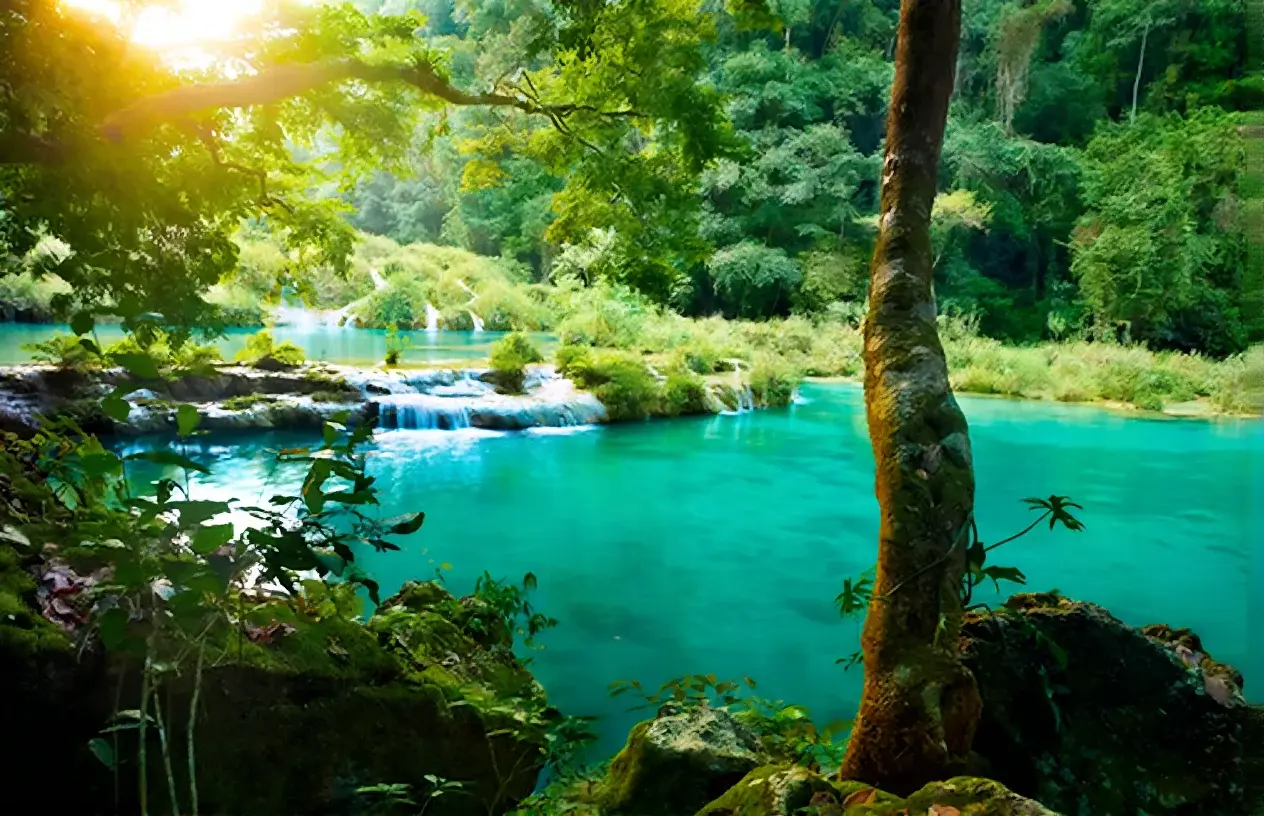 Opciones de transporte privado en Antigua.