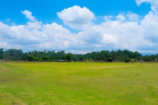Desfile colorido durante la Semana Santa en Guatemala.
