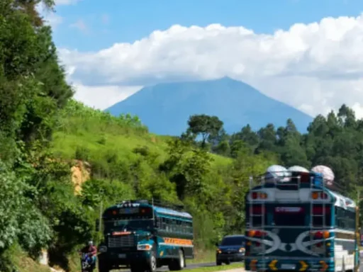 Transporte público en Guatemala mostrando un chicken bus colorido en una calle vibrante.