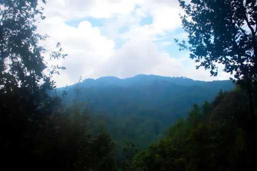 Experiencias únicas en Guatemala