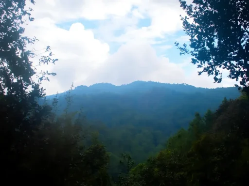 Experiencias únicas en Guatemala