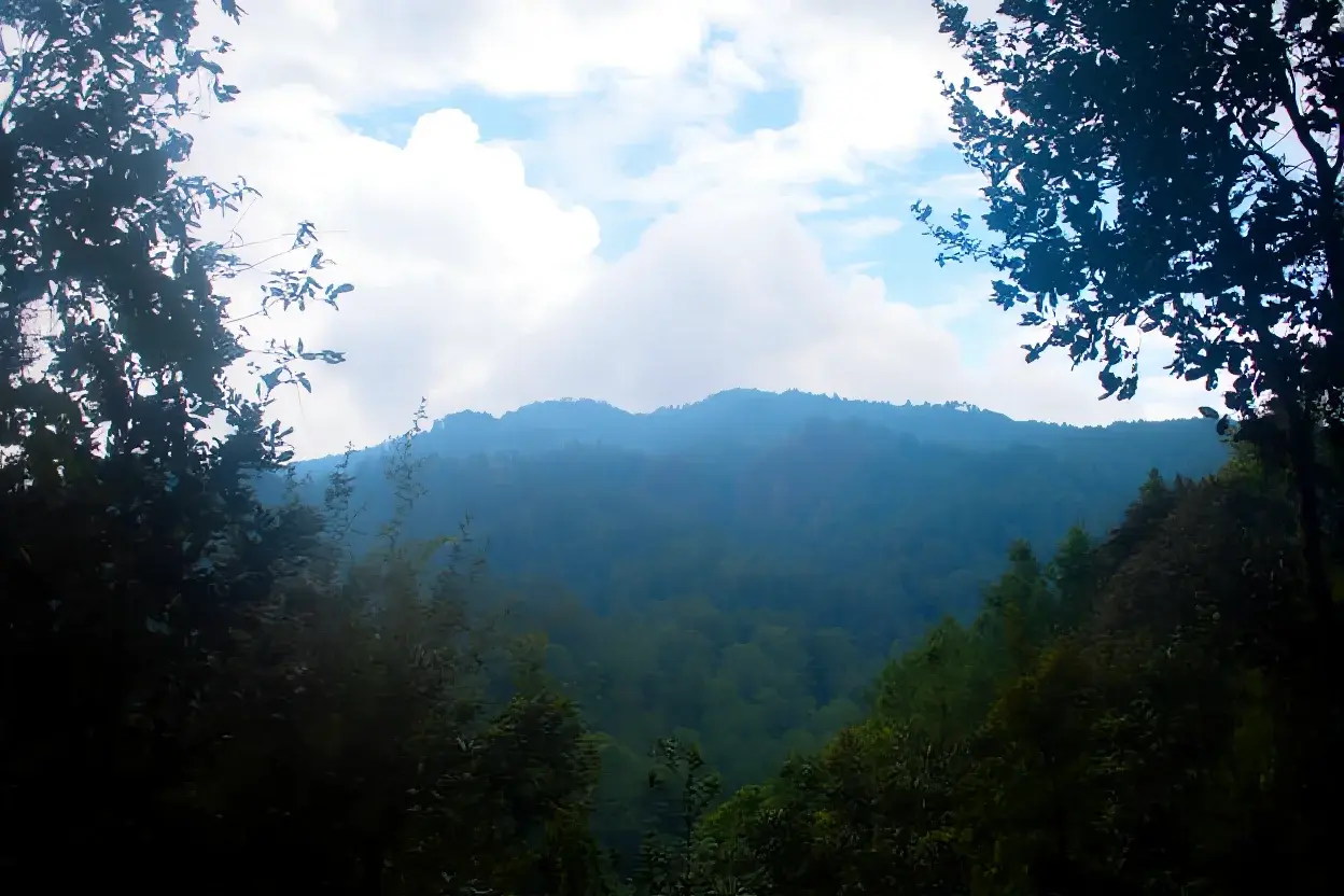 Experiencias únicas en Guatemala